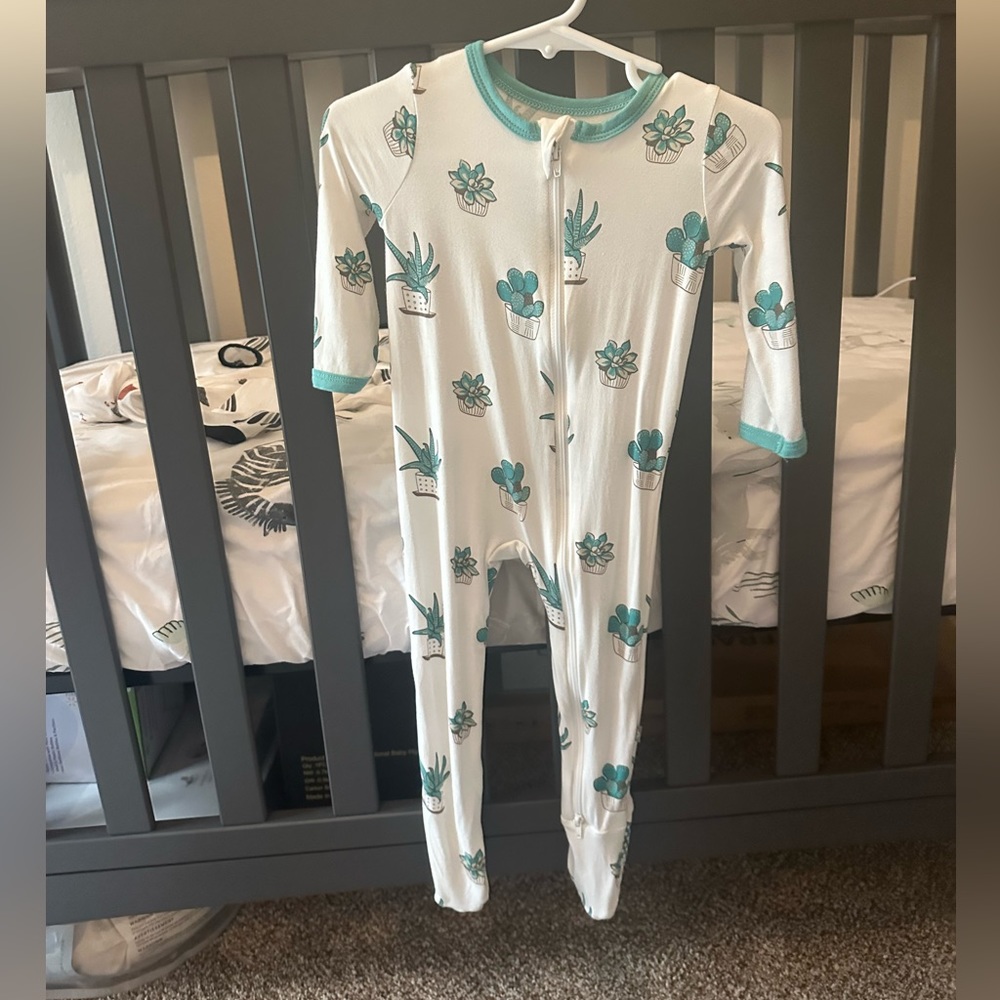 6-12 succulents kyte baby footie